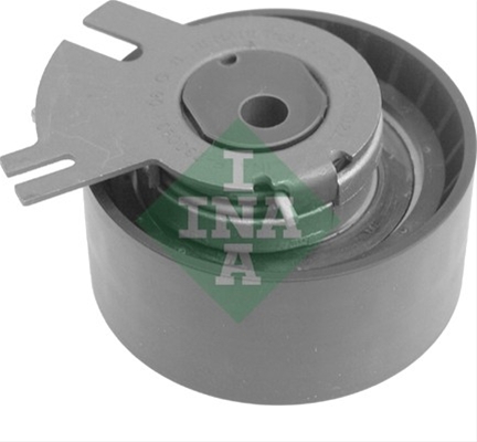 ROLA INTINZATOR,CUREA DISTRIBUTIE