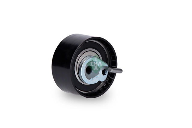 ROLA INTINZATOR,CUREA DISTRIBUTIE