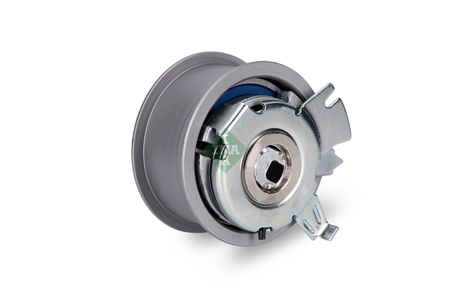 ROLA INTINZATOR,CUREA DISTRIBUTIE