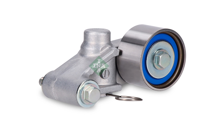 ROLA INTINZATOR,CUREA DISTRIBUTIE