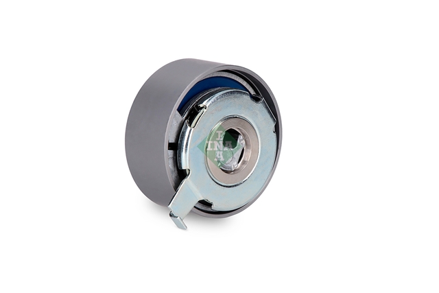 ROLA INTINZATOR,CUREA DISTRIBUTIE