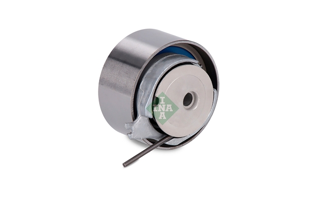 ROLA INTINZATOR,CUREA DISTRIBUTIE