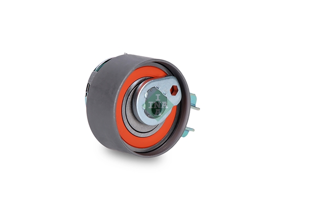 ROLA INTINZATOR,CUREA DISTRIBUTIE