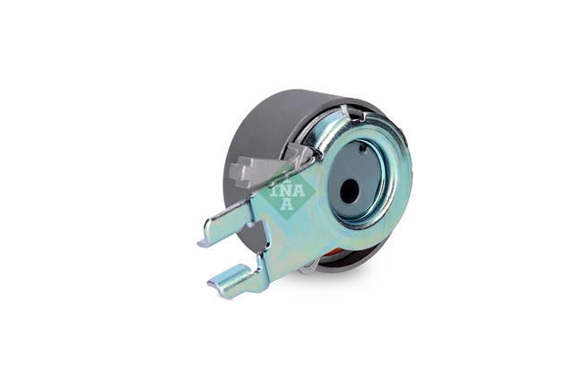 ROLA INTINZATOR,CUREA DISTRIBUTIE