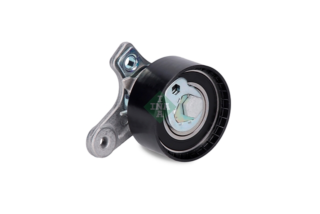 ROLA INTINZATOR,CUREA DISTRIBUTIE