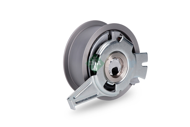 ROLA INTINZATOR,CUREA DISTRIBUTIE