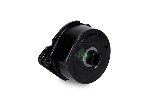 INTINZATOR CUREA, CUREA DISTRIBUTIE
