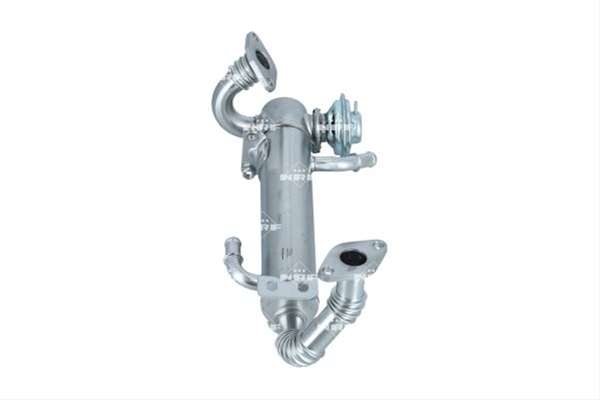 RACITOR EGR