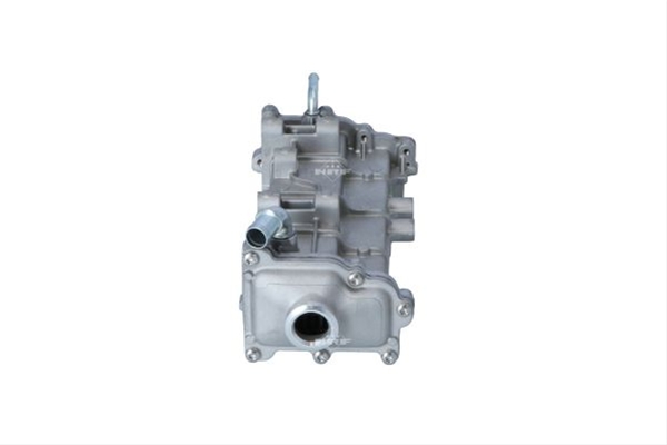 RACITOR EGR