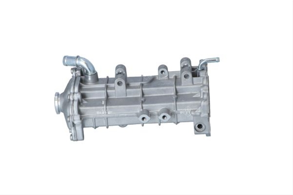 RACITOR EGR