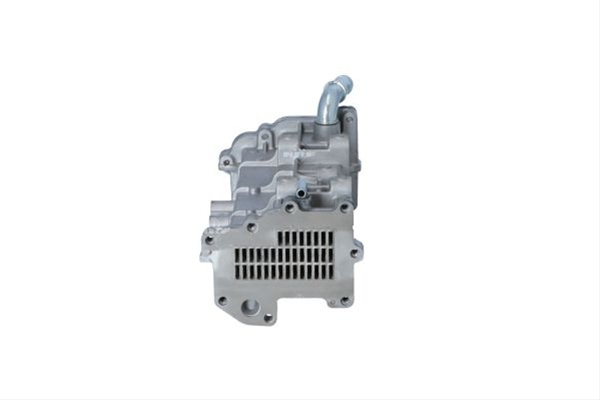 RACITOR EGR