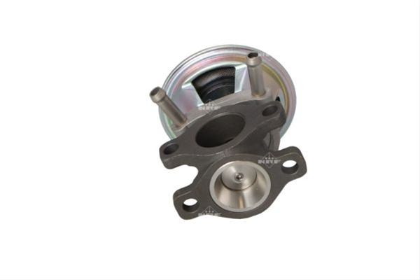 SUPAPA EGR