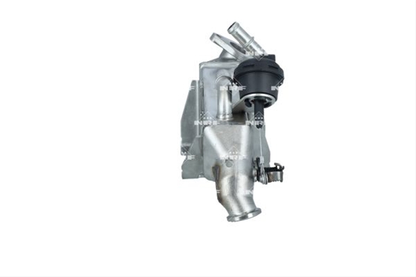 RACITOR EGR SE26
