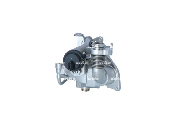 RACITOR EGR
