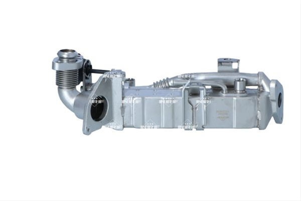 RACITOR EGR