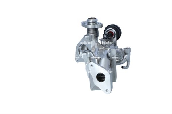RACITOR EGR