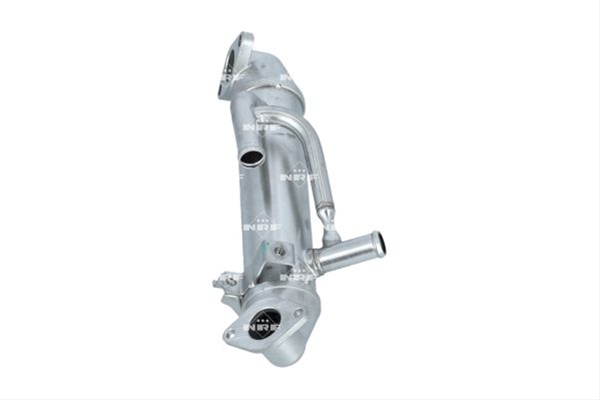RACITOR EGR SE25