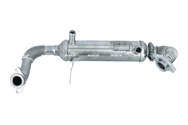 RACITOR EGR
