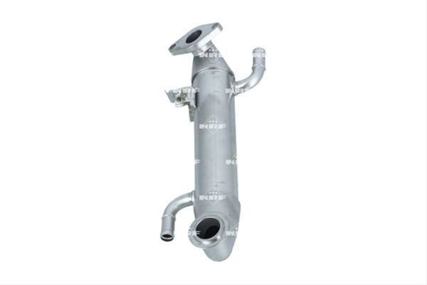 RACITOR EGR SE25