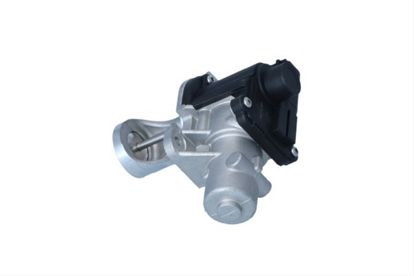 SUPAPA EGR SE25