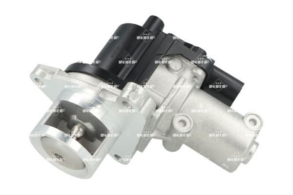 SUPAPA EGR SE25