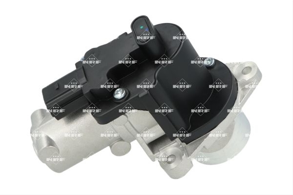 SUPAPA EGR SE25