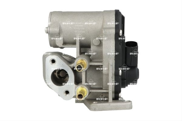 SUPAPA EGR SE25