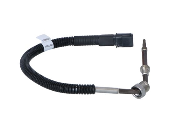 SENZOR TEMPERATURA GAZE ESAPAMENT SE24