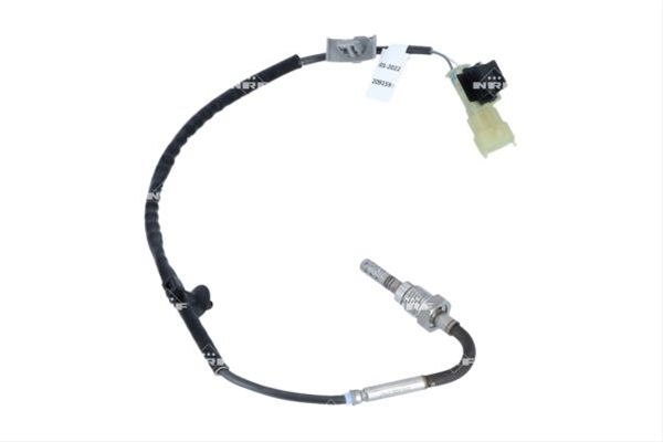 SENZOR TEMPERATURA GAZE ESAPAMENT CSNBB