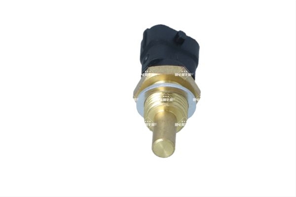 SENZOR TEMPERATURA ANTIGEL SE24