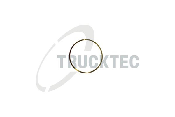 Imagine pentru produsul „O-RING, CAMASA CILINDRU"