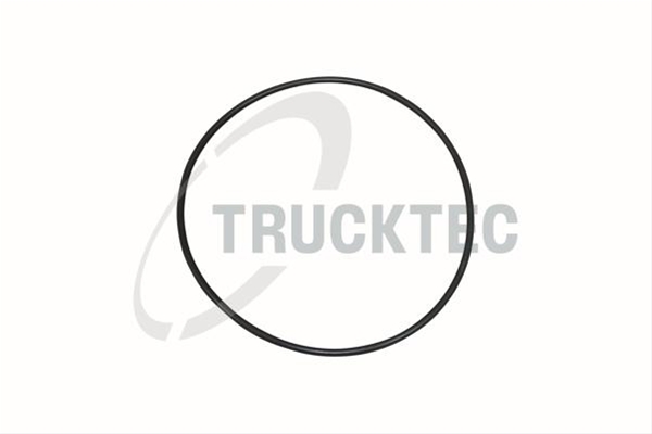 Imagine pentru produsul „O-RING, CAMASA CILINDRU"