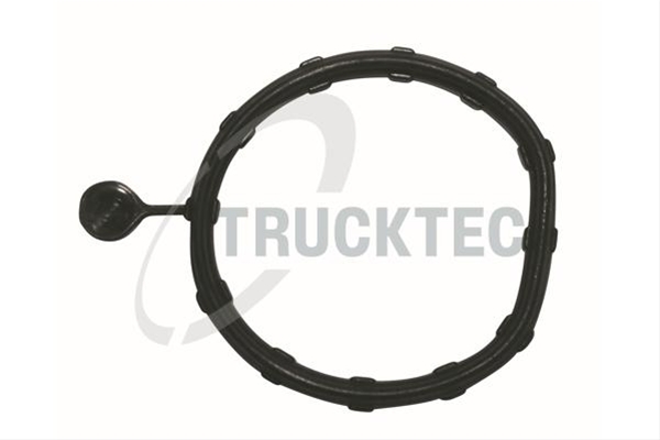 Imagine pentru produsul „GARNITURA CARCASA SCURGERE APA TRUCKTEC"