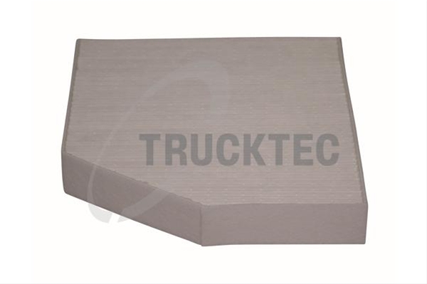 Imagine pentru produsul „FILTRU AER HABITACLU TRUCKTEC"