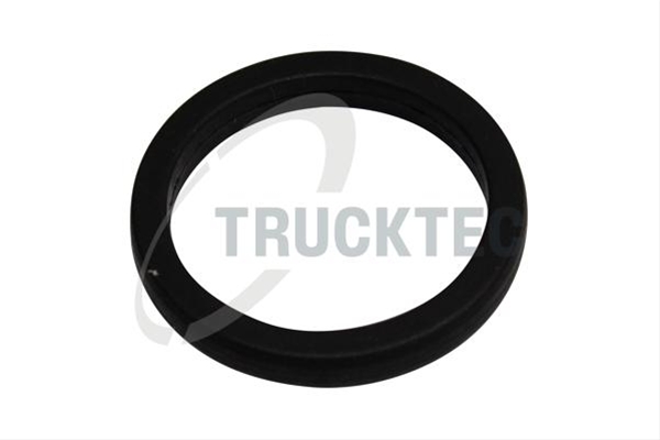 Imagine pentru produsul „GARNITURA POMPA DE APA TRUCKTEC"
