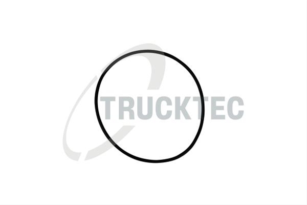 Imagine pentru produsul „GARNITURA FLANSA-CURATATOR CENTRIFUGAL TRUCKTEC"