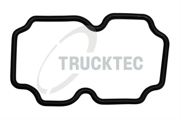 Imagine pentru produsul „GARNITURA TEAVA LICHI DE RACIRE TRUCKTEC"