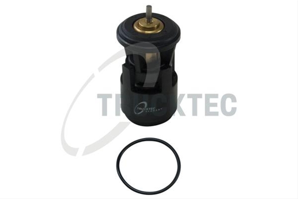 Imagine pentru produsul „TERMOSTAT,LICHID RACIRE"