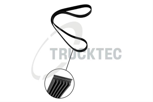 Imagine pentru produsul „CUREA TRANSMISIE CU CANELURI"