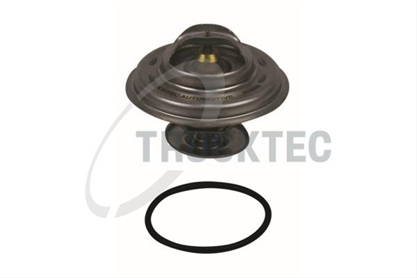 Imagine pentru produsul „TERMOSTAT,LICHID RACIRE"