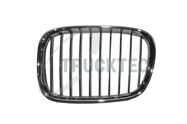 Imagine pentru produsul „GRILA RADIATOR"