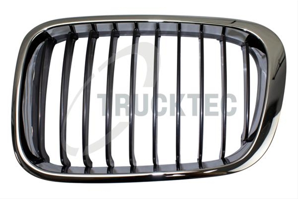Imagine pentru produsul „GRILA RADIATOR"