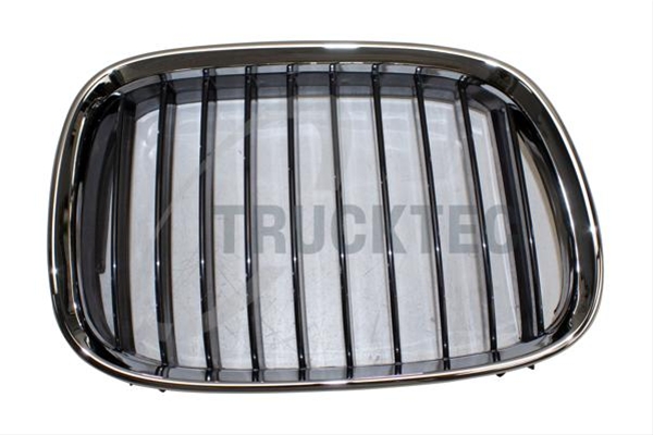 Imagine pentru produsul „GRILA RADIATOR"