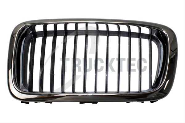 Imagine pentru produsul „GRILA RADIATOR"