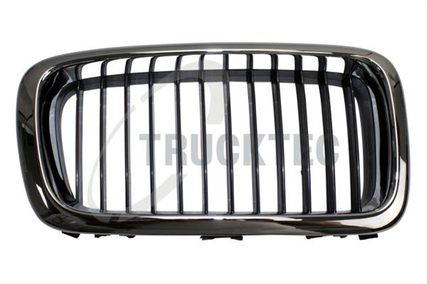 Imagine pentru produsul „GRILA RADIATOR"