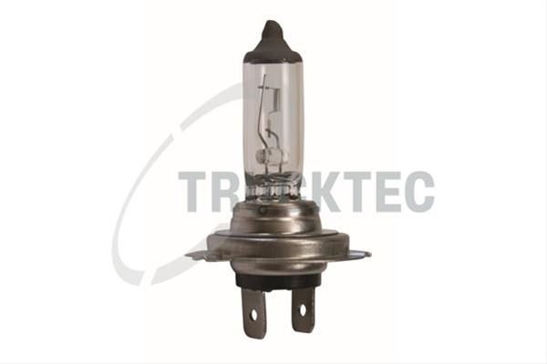 BEC FAR PRINCIPAL TRUCKTEC