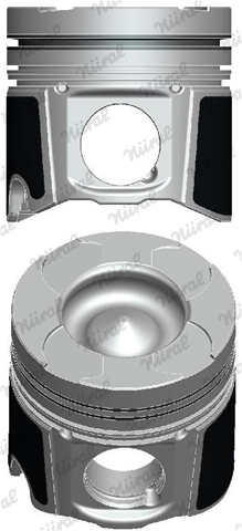 Imagine pentru produsul „PISTON -NURAL"