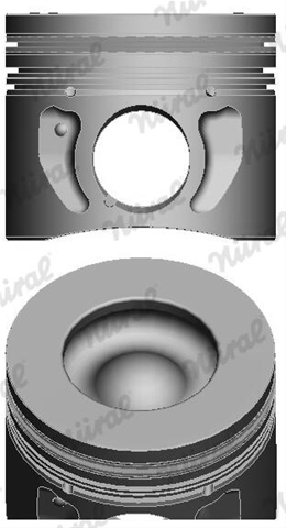 Imagine pentru produsul „PISTON -NURAL"