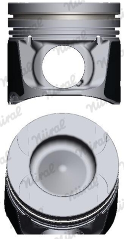 Imagine pentru produsul „PISTON -NURAL"