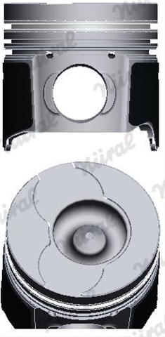 Imagine pentru produsul „PISTON -NURAL"